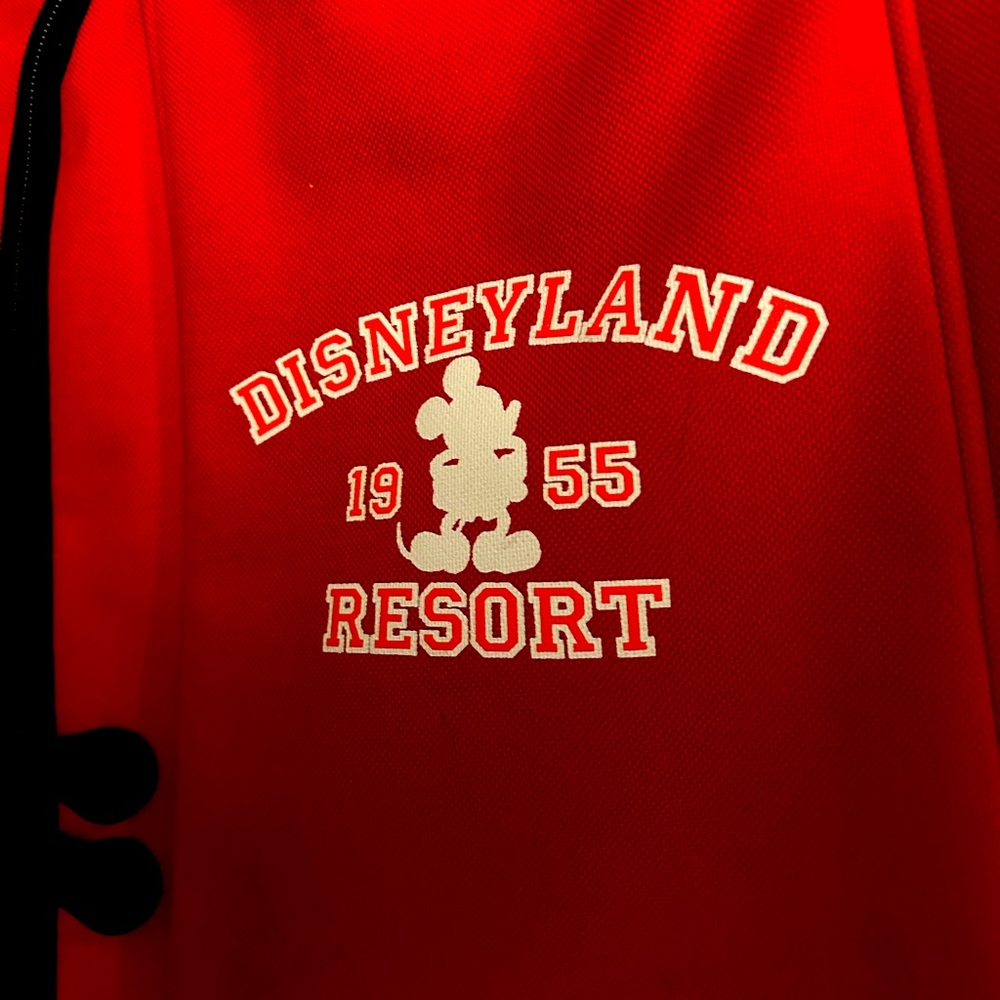 21” roller board carry on. Disneyland park purchase front zip pocket. Soft sided
